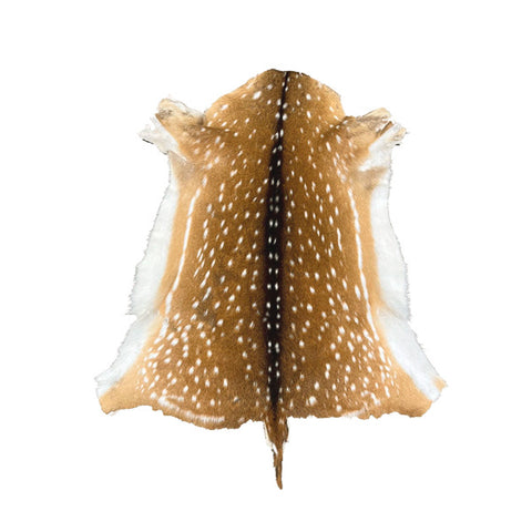 WHITETAN DEER FUR ON - SMALL | 2ND GRADE