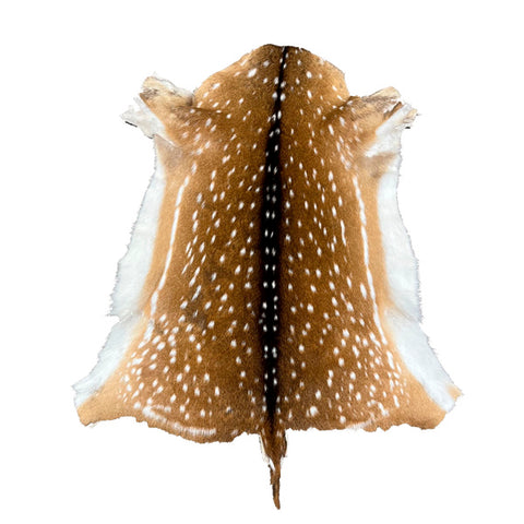 WHITETAN DEER FUR ON - MEDIUM | 1ST GRADE